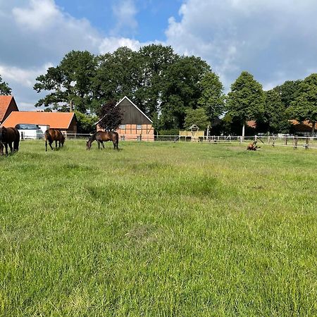 Landhaus Am Esch Warendorf Bagian luar foto