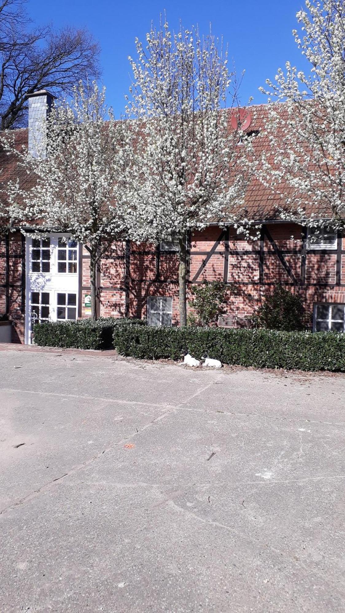 Landhaus Am Esch Warendorf Bagian luar foto