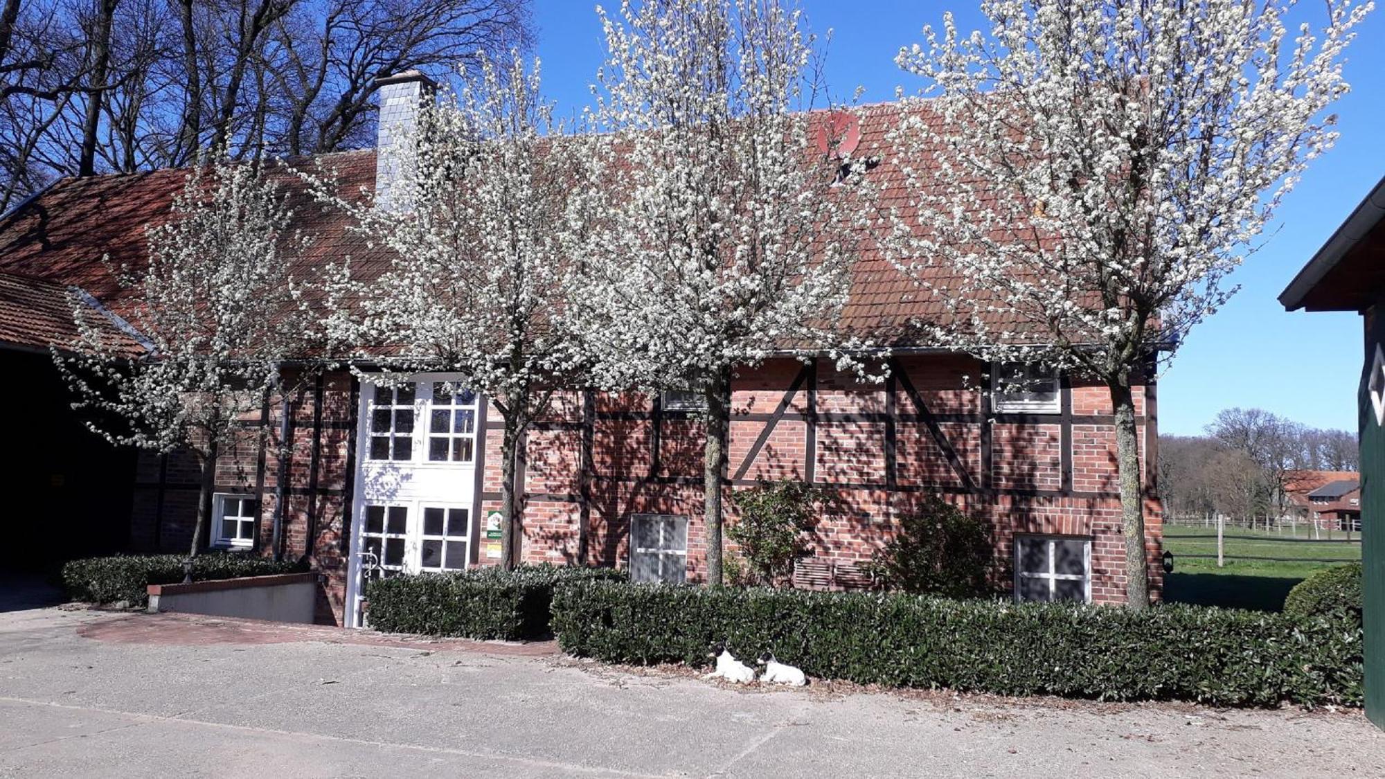 Landhaus Am Esch Warendorf Bagian luar foto